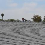 ConnellBJ_2_0027 (June 17, 2012)